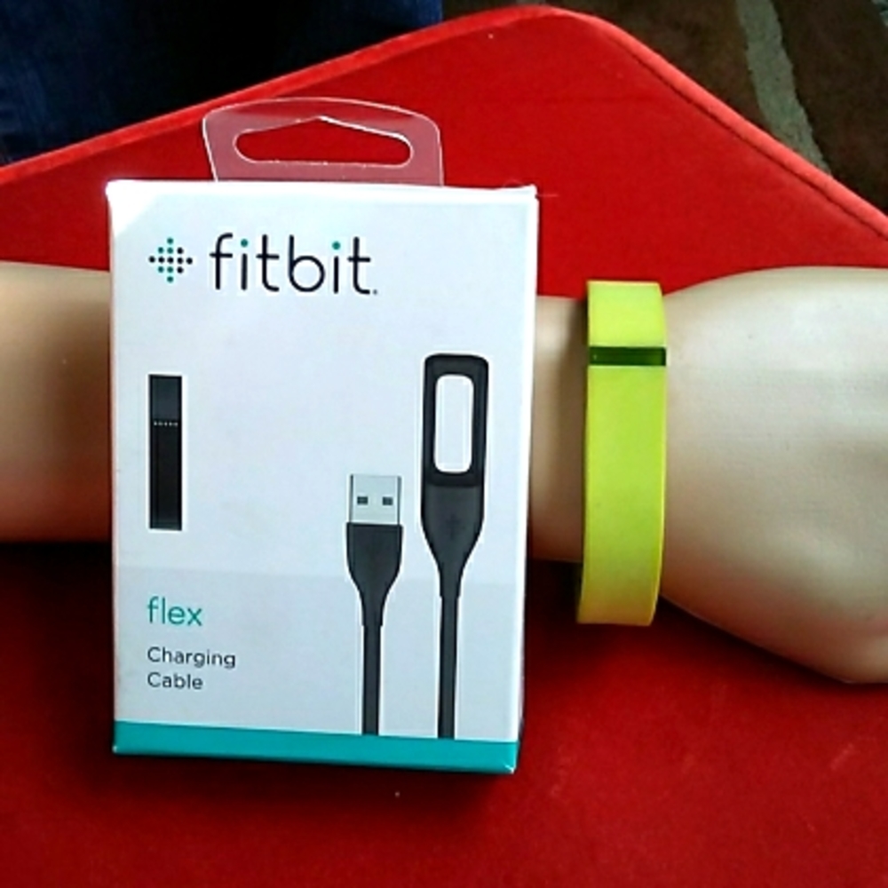 Fitbit Flex Charging Cable and Band